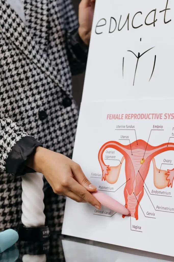 A person presents a detailed diagram of the female reproductive system on a whiteboard.